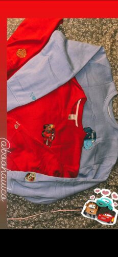 Cars McQueen, Sally and Mater – Kid Embroidered Sweatshirt photo review