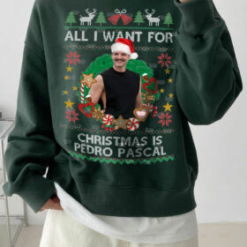 I Missed My Best Friend Steve & Dustin – Tee